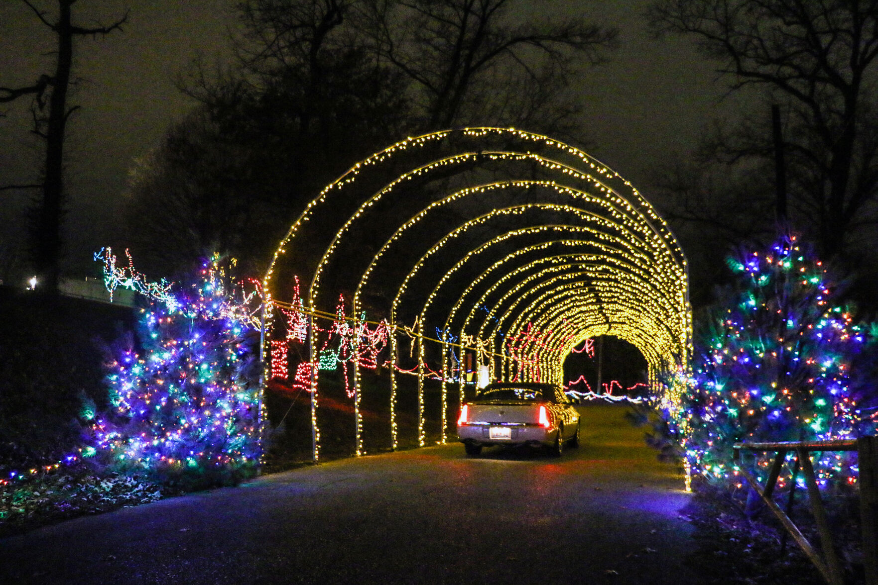 Christmas Wonderland 1.jpg